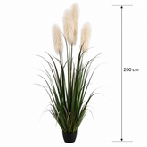Planta Artificială Iarbă Ornamentală, 200 cm, cu 4 fire, Stuf si Iarba, Verde si Gri, Fara Ghiveci