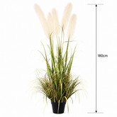 Planta Artificială Iarbă Ornamentală, 180cm, cu 5 fire, Stuf si Iarba, Verde si Roz, Fara Ghiveci