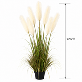 Planta Artificială Iarbă Ornamentală, 220cm, cu 7 fire, Stuf si Iarba, Verde si Alb, Fara Ghiveci