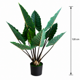 Plantă Artificială Tip Alocasia Cu Frunze Late, 120 cm, Verde