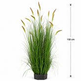 Planta Artificială Iarbă Ornamentală Tip Coadă de Pisicǎ, 150 cm, 17 tulpini, iarbă curbată și spice, Verde, Fara Ghiveci