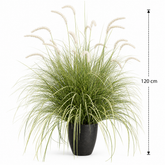 Planta Artificială Iarbă Ornamentală Tip Coadă de Vulpe, 120cm, Iarbă curbată și Spice, Verde si Alba, Fara Ghiveci