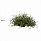 Planta Artificială Tufă de Iarbă Tip Ceapă Curbată, 28 cm, Densitate Redusă, Verde Închis, Fara Ghiveci