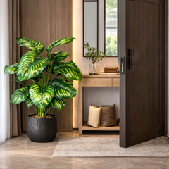 Planta artificiala decorativa cu frunze verzi tip calathea amplasata langa usa de intrare in hol modern, decor natural pentru zona de intrare.