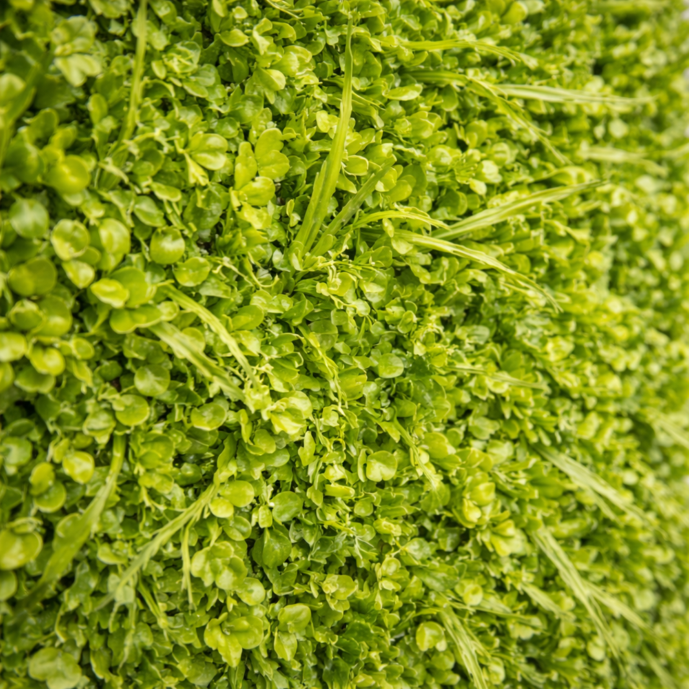 panou perete vegetal artificial verde 40x60cm pentru terasa decor exterior perete verde