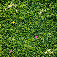 panou perete vegetal artificial cu flori mici 40x60cm pentru terasa decor exterior perete verde