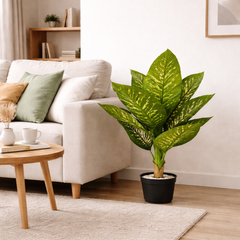 Artificial Dieffenbachia plant 90 cm in black pot placed beside living room sofa, modern home decor green indoor plant