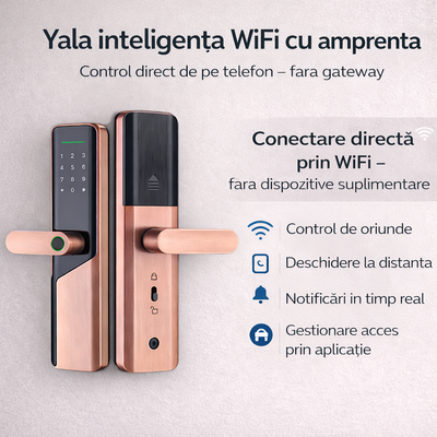 Incuietoare inteligenta bronz cu amprenta cod card cheie si app