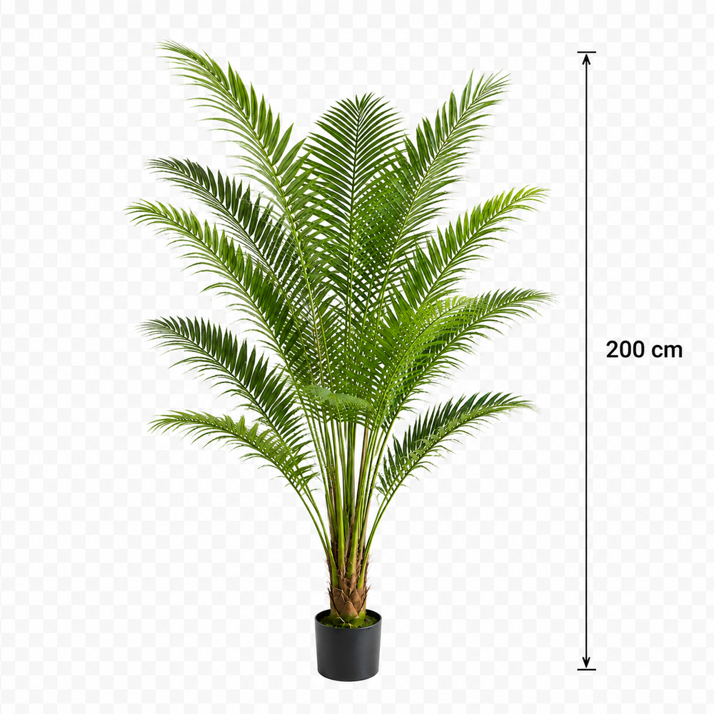 Plantă artificială Howea Forsteriana verde, 200 cm, palmier Kentia decorativ pentru living, birou, hotel, restaurant și spații comerciale.