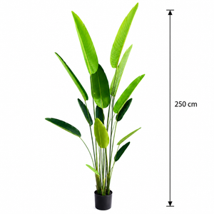 Plantă Artificială Tip Strelitzia Nicolai(Pasărea Paradisului), 250 cm, Verde
