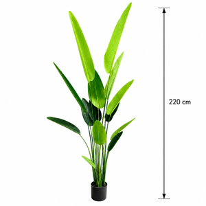 Plantă Artificială Tip Strelitzia Nicolai(Pasărea Paradisului), 220 cm, 13 frunze, Verde