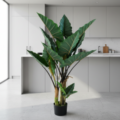 Plantă artificială Strelitzia verde, 160 cm, cu frunze mari și aspect realist, în ghiveci, ideală pentru living, birou, dormitor, hotel, restaurant, recepție și spații comerciale.