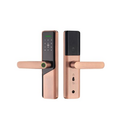 Incuietoare inteligenta LUBAN din alama pentru usa de interior, cu amprenta, PIN, card, Tuya si cheie mecanica