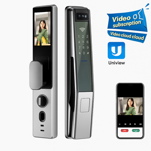 Incuietoare Inteligenta argintie cu camera si amprenta cod card cheie app