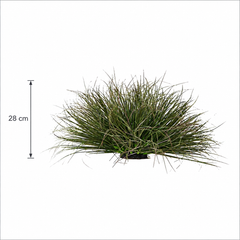 Planta Artificială Tufă de Iarbă Tip Ceapă Curbată, 28 cm, Densitate Redusă, Verde Închis, Fara Ghiveci